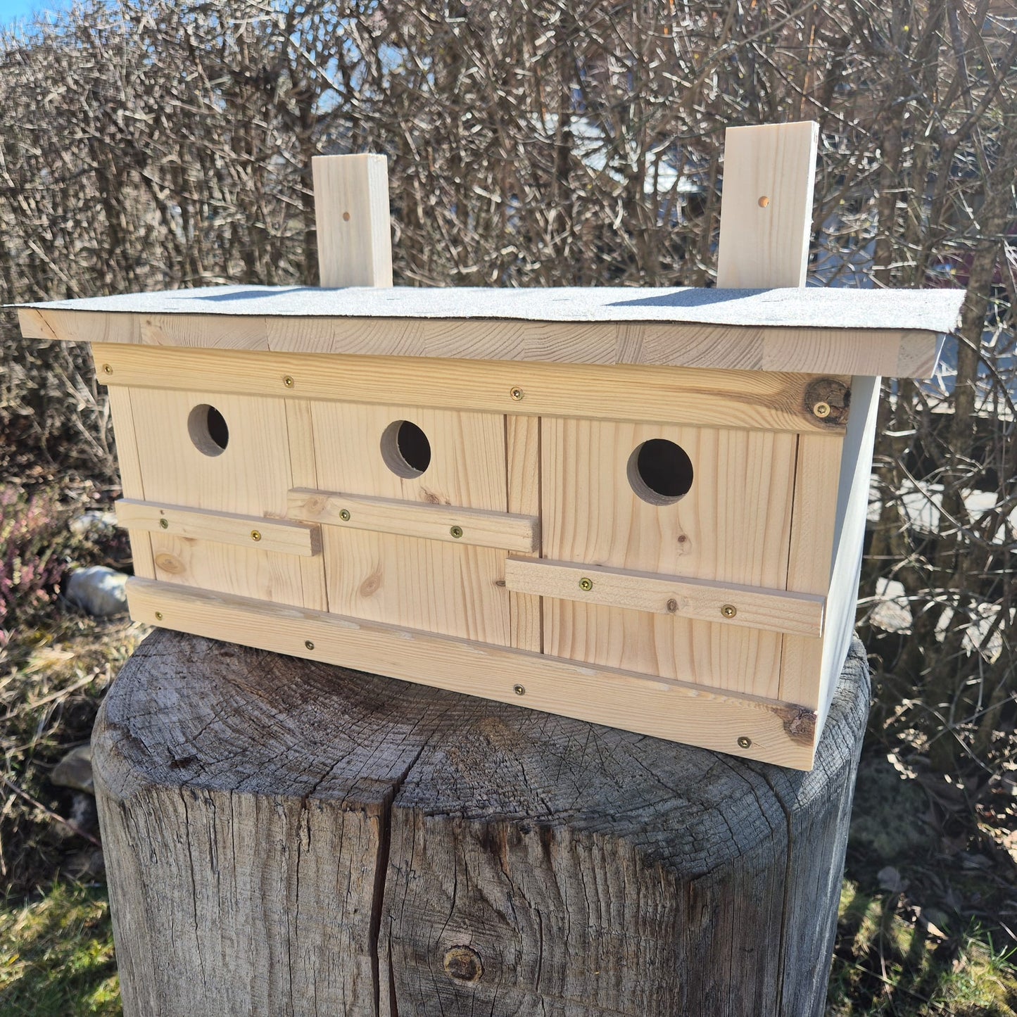 Spatzenkasten, Spatzenkolonie, Spatzenhaus