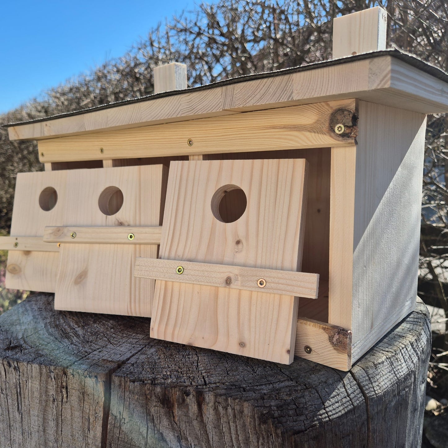 Spatzenkasten, Spatzenkolonie, Spatzenhaus