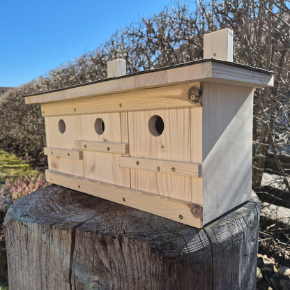 Spatzenkasten, Spatzenkolonie, Spatzenhaus