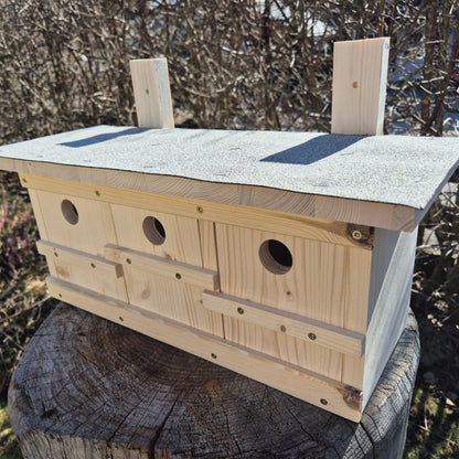 Spatzenkasten, Spatzenkolonie, Spatzenhaus