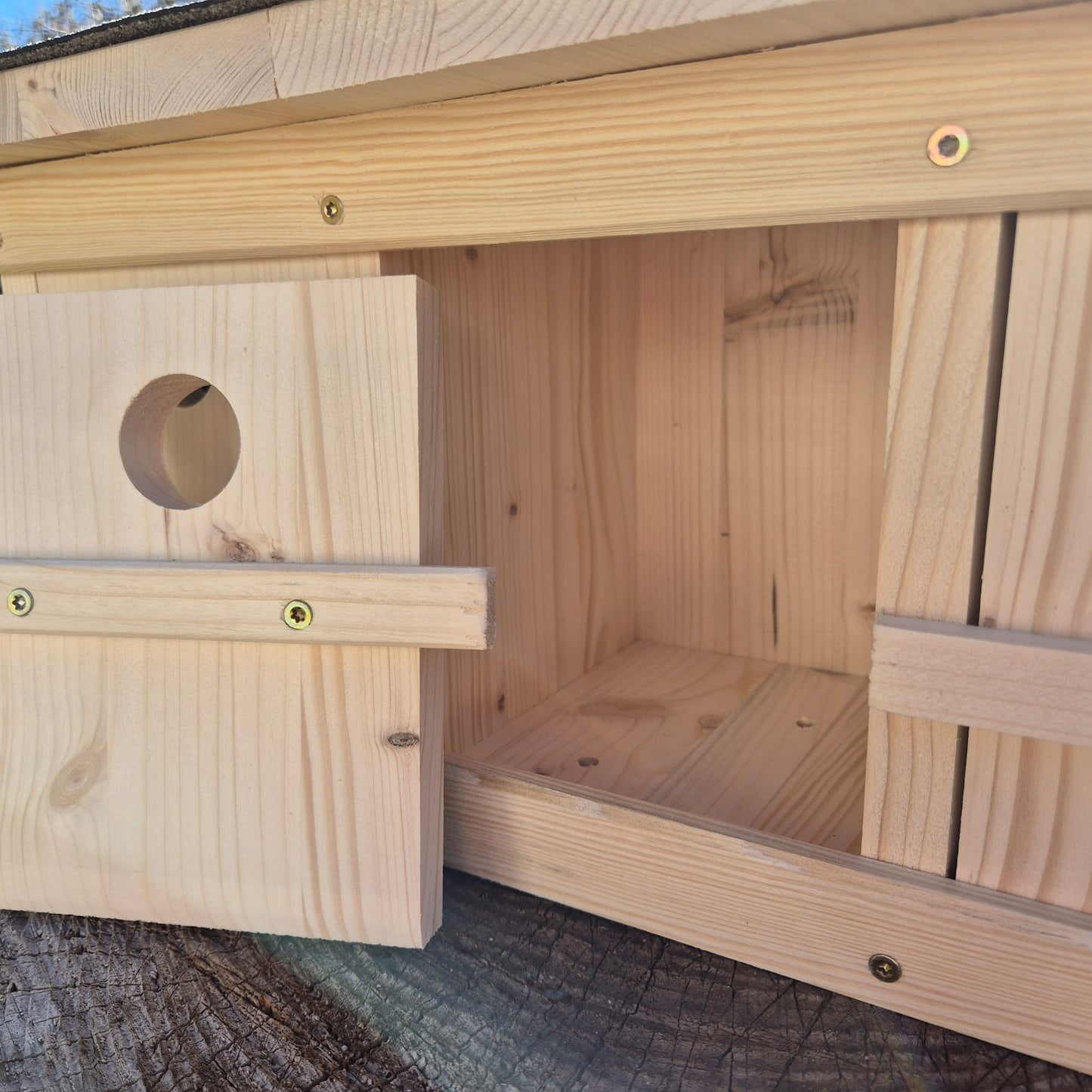 Spatzenkasten, Spatzenkolonie, Spatzenhaus