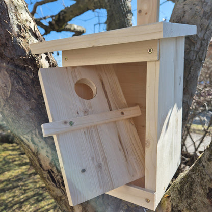 Starenhaus, Starenkasten, Brutstätte, Vogelhaus